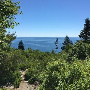 Meet your Posher, Annie